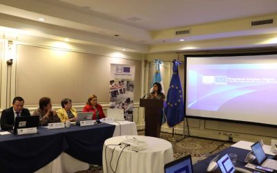 SEGUNDA REUNIÓN DEL COMITÉ ASESOR PED