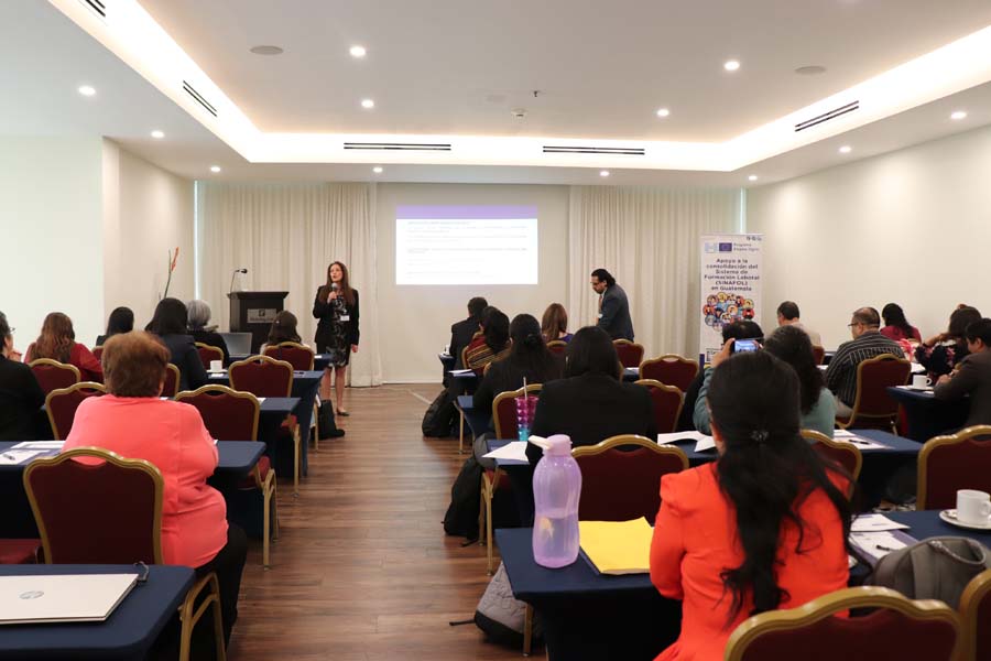 TALLER INTERINSTITUCIONAL PARA APOYO A LA CONSOLIDACIÓN DE SINAFOL 